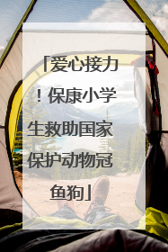 爱心接力！保康小学生救助国家保护动物冠鱼狗