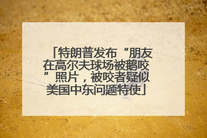 特朗普发布“朋友在高尔夫球场被鹅咬”照片，被咬者疑似美国中东问题特使