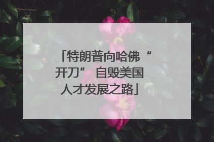 特朗普向哈佛“开刀” 自毁美国人才发展之路