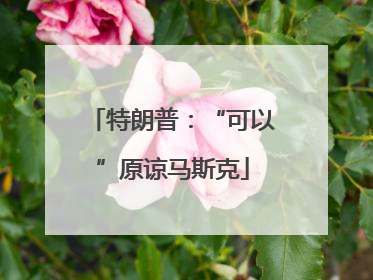 特朗普：“可以”原谅马斯克