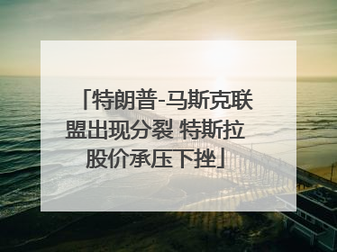 特朗普-马斯克联盟出现分裂 特斯拉股价承压下挫