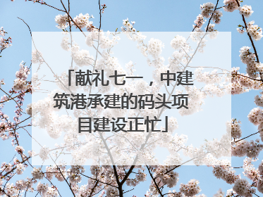 献礼七一，中建筑港承建的码头项目建设正忙