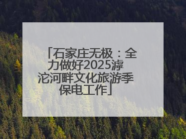 石家庄无极：全力做好2025滹沱河畔文化旅游季保电工作