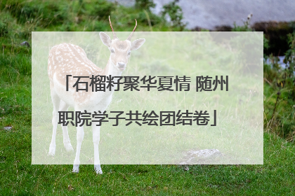 石榴籽聚华夏情 随州职院学子共绘团结卷
