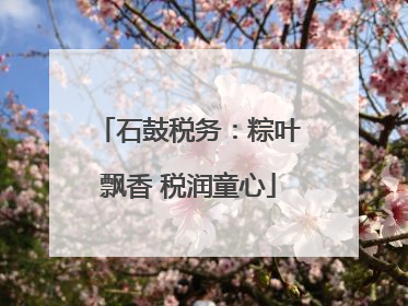 石鼓税务：粽叶飘香 税润童心