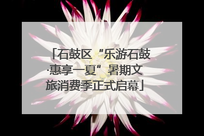 石鼓区“乐游石鼓·惠享一夏”暑期文旅消费季正式启幕