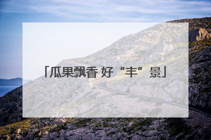 瓜果飘香 好“丰”景