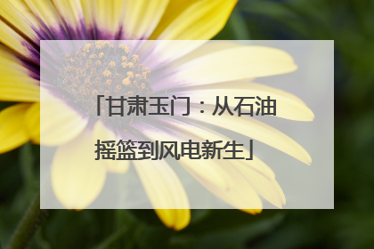 甘肃玉门：从石油摇篮到风电新生