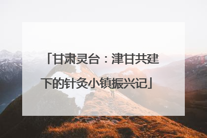 甘肃灵台：津甘共建下的针灸小镇振兴记