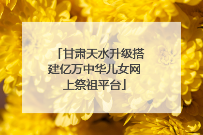 甘肃天水升级搭建亿万中华儿女网上祭祖平台