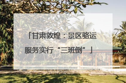 甘肃敦煌：景区骆运服务实行“三班倒”
