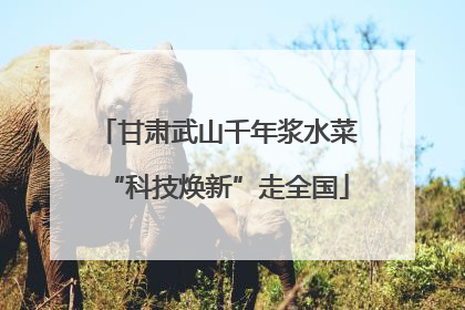 甘肃武山千年浆水菜“科技焕新”走全国