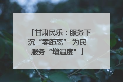 甘肃民乐：服务下沉“零距离” 为民服务“增温度”