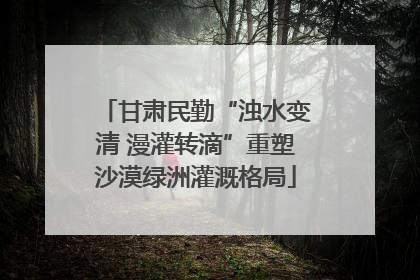 甘肃民勤“浊水变清 漫灌转滴”重塑沙漠绿洲灌溉格局