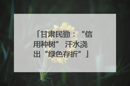 甘肃民勤：“信用种树” 汗水浇出“绿色存折”