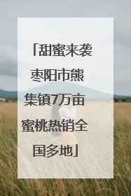 甜蜜来袭 枣阳市熊集镇7万亩蜜桃热销全国多地