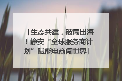 生态共建，破局出海！静安“全球服务商计划”赋能电商闯世界