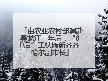 由农业农村部调赴黑龙江一年后，“80后”王杕履新齐齐哈尔副市长