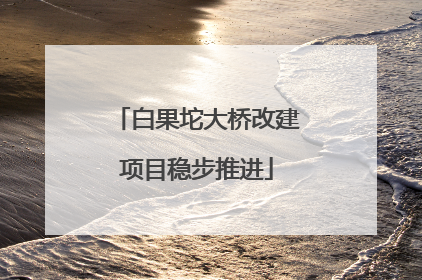 白果坨大桥改建项目稳步推进