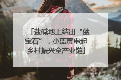 盐碱地上结出“蓝宝石”，小蓝莓串起乡村振兴全产业链