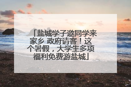 盐城学子邀同学来家乡 政府请客！这个暑假，大学生多项福利免费游盐城