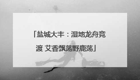 盐城大丰：湿地龙舟竞渡 艾香飘荡野鹿荡