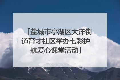 盐城市亭湖区大洋街道育才社区举办七彩护航爱心课堂活动