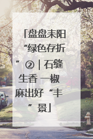 盘盘耒阳“绿色存折”②｜石缝生香 一椒麻出好“丰”景