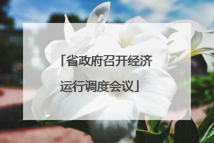 省政府召开经济运行调度会议