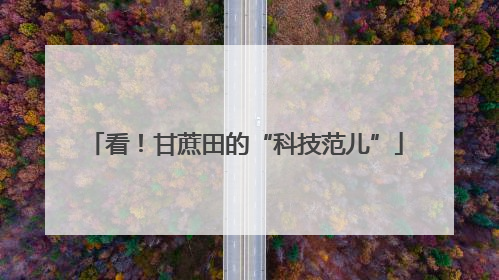 看！甘蔗田的“科技范儿”