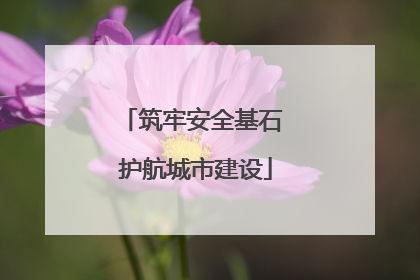 筑牢安全基石 护航城市建设