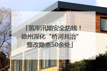 筑牢汛期安全防线！德州深化“桥河共治”整改隐患50余处