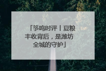 筝鸣时评丨夏粮丰收背后，是潍坊全城的守护