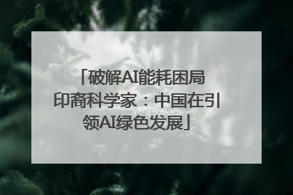 破解AI能耗困局 印裔科学家：中国在引领AI绿色发展