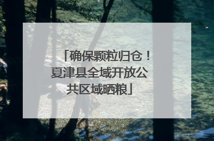 确保颗粒归仓！夏津县全域开放公共区域晒粮