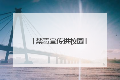 禁毒宣传进校园