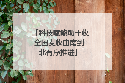 科技赋能助丰收 全国麦收由南到北有序推进