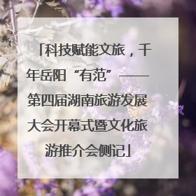 科技赋能文旅，千年岳阳“有范”——第四届湖南旅游发展大会开幕式暨文化旅游推介会侧记