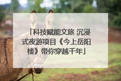 科技赋能文旅 沉浸式夜游项目《今上岳阳楼》带你穿越千年
