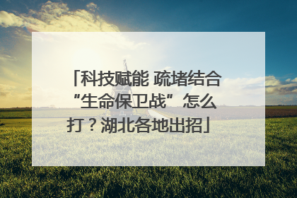 科技赋能 疏堵结合 “生命保卫战”怎么打？湖北各地出招