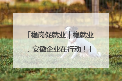 稳岗促就业｜稳就业，安徽企业在行动！