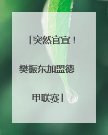 突然官宣！樊振东加盟德甲联赛