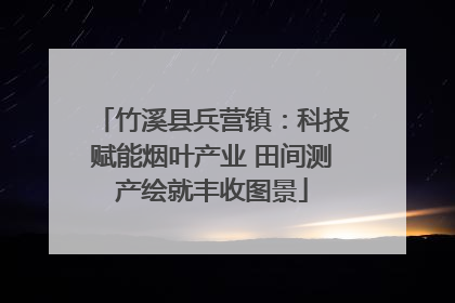 竹溪县兵营镇：科技赋能烟叶产业 田间测产绘就丰收图景