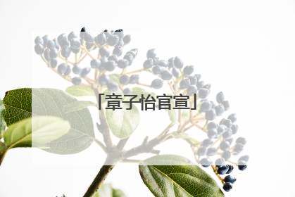 章子怡官宣