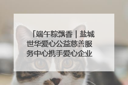 端午粽飘香｜盐城世华爱心公益慈善服务中心携手爱心企业发起情暖“城市守护者”慰问活动