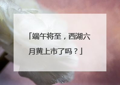 端午将至，西湖六月黄上市了吗？