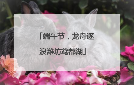 端午节，龙舟逐浪潍坊鸢都湖