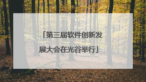 第三届软件创新发展大会在光谷举行