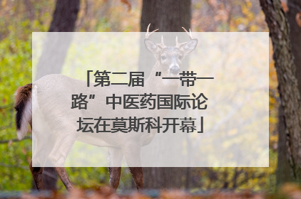 第二届“一带一路”中医药国际论坛在莫斯科开幕