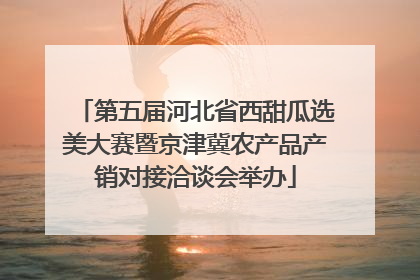 第五届河北省西甜瓜选美大赛暨京津冀农产品产销对接洽谈会举办